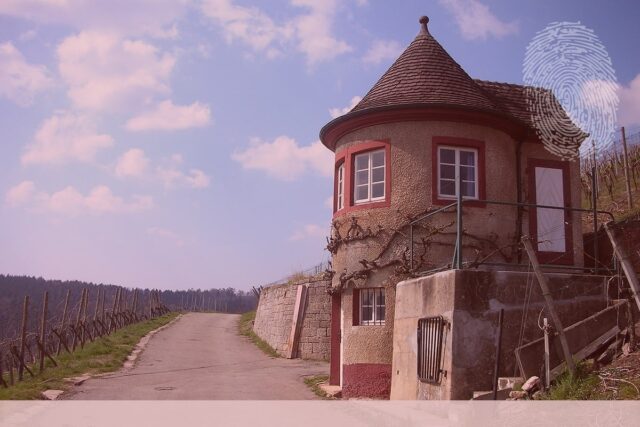 Schorndorf Weinberge. Fingerabdruck der Detektei Kubon.
